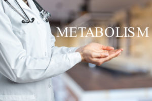 What Is Your Metabolism